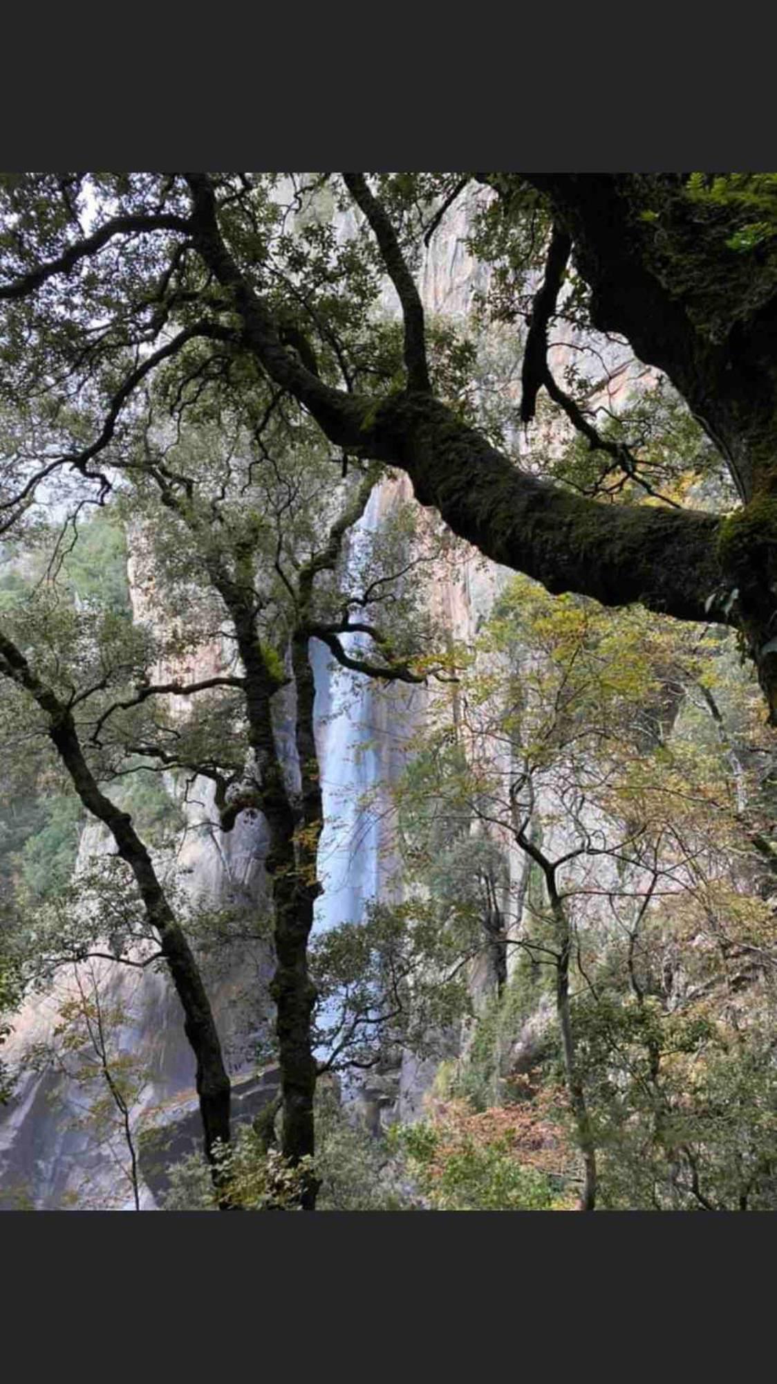 Sud-Corse Bavella Location Montagne Et Mer Sorbollano Dış mekan fotoğraf